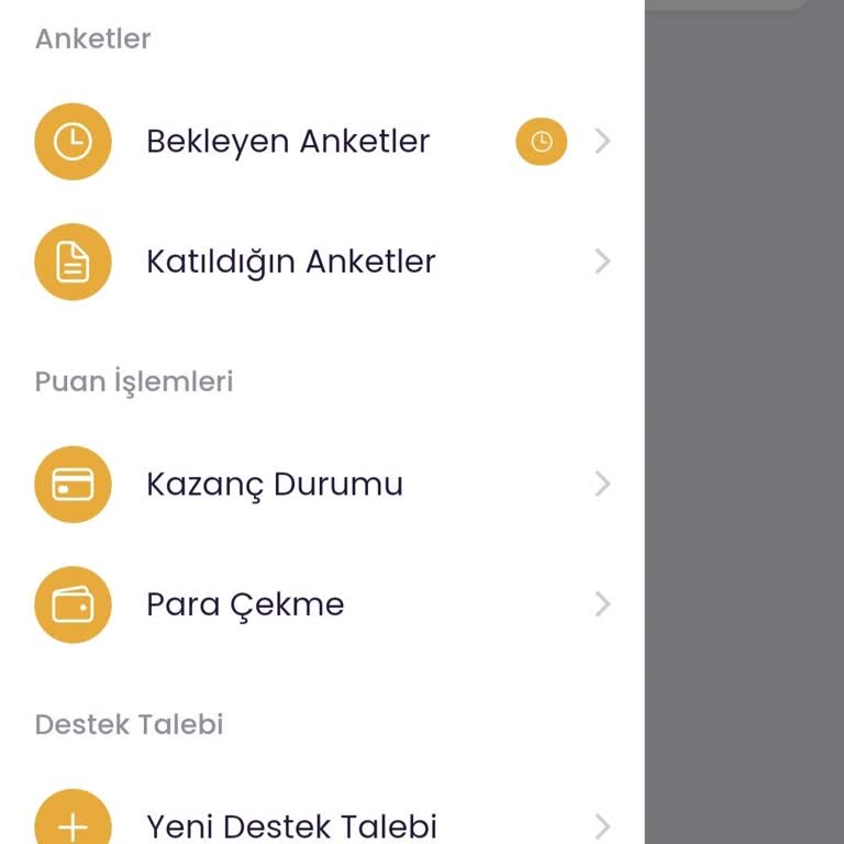 RoniApp Bakiyem Çekim Yapmadan Sıfırlandı