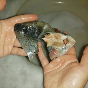 BİM Erba Balık Markasının Dilim Somon Ürünü Hakkında Hayal Kırıklığı