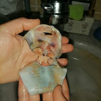 BİM Erba Balık Markasının Dilim Somon Ürünü Hakkında Hayal Kırıklığı