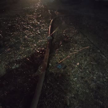 What A Fest (waf) 24 Etkinliğinde Yaşanan Sorunlar Ve Mağduriyetler