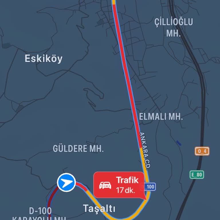 Pamukkale Turizm Otobüs Firmaları Güzergah Dışı Gidiyor