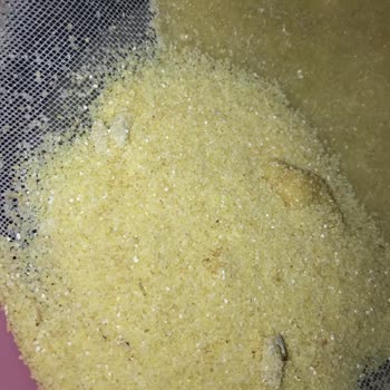 Piyale İrmik Ürününde Böcek Ve Kurt Problemi
