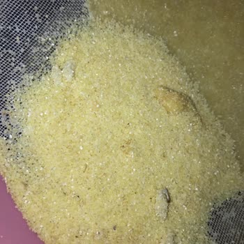 Piyale İrmik Ürününde Böcek Ve Kurt Problemi