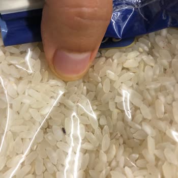 Tat Bakliyat Migros'tan Aldığımız Pirinçlerde Böcek Ve Kurt Sorunu