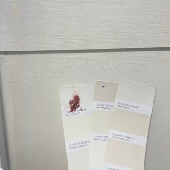 Polisan Boya Şikayeti Ci6860 / Ci6610 Kodlu Boyalar