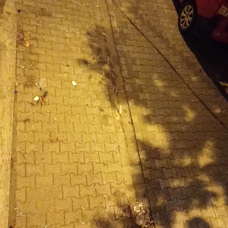 Üsküdar Belediyesi Sokak Temizliği Hakkında