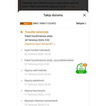 MNG Kargo A Company Of DHL İle Geciken Temu Siparişim