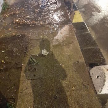 Migros 'un Temizlik Anlayışı