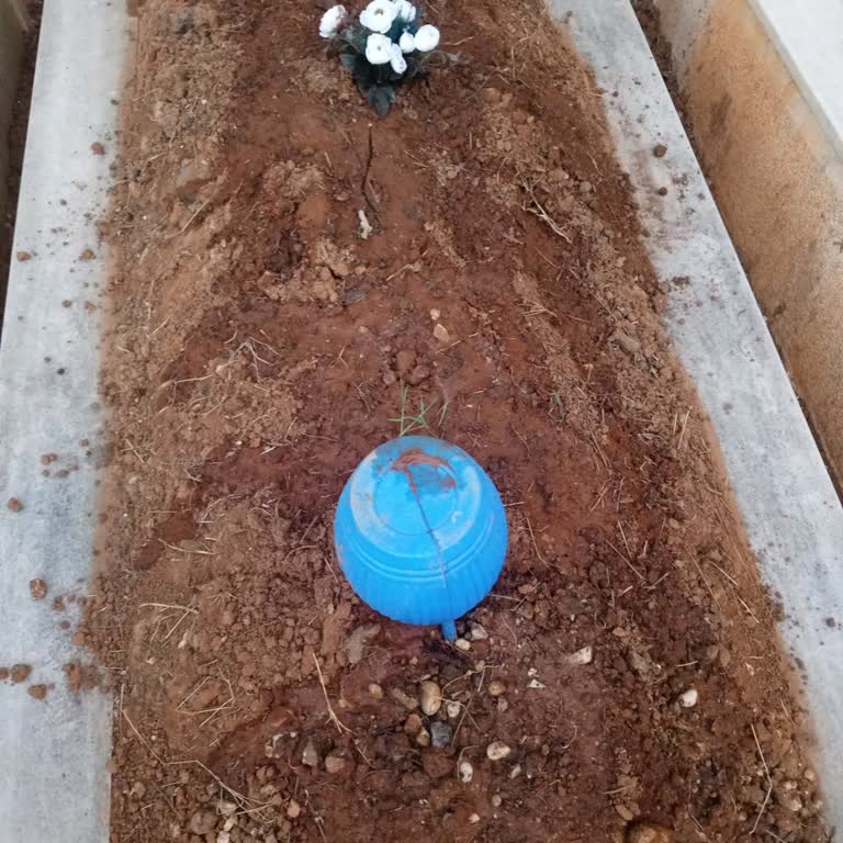 Yalova Devlet Hastanesi Hastane İhmali Ve İlgisizliği Sonucu Yaşanan Trajik Kayıp