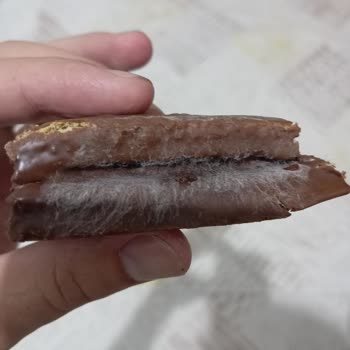 Ülker Dankek Mousse Şikayet