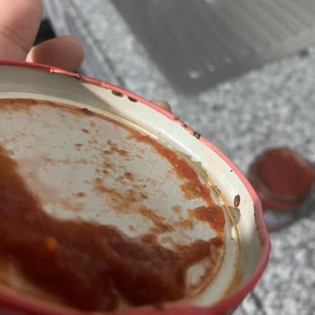 Burcu Gıda Online Marketten Alınan Pizza Sosunda Hijyen Sorunu