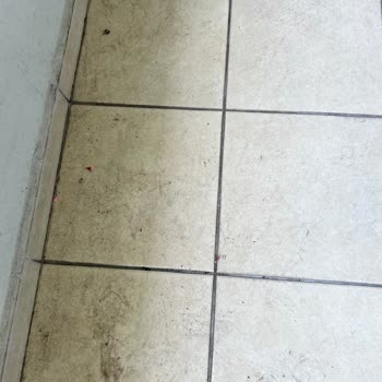 Bandırma Belediyesi Fırın Bacasından Zehirleniyoruz