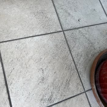 Bandırma Belediyesi Fırın Bacasından Zehirleniyoruz