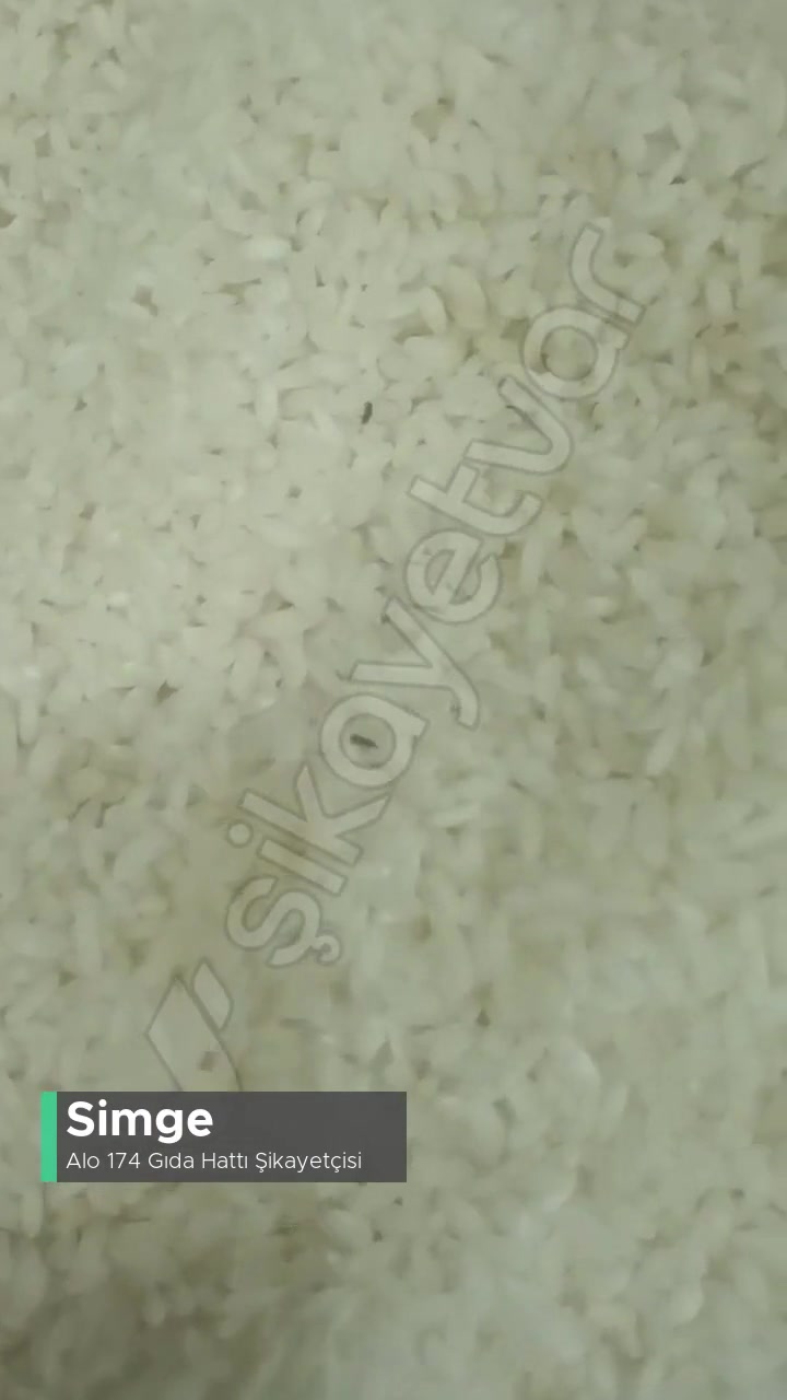 Alo 174 Gıda Hattı Pirinçten Bir Sürü Böcek Var! videonun kapak resmi