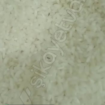 Alo 174 Gıda Hattı Pirinçten Bir Sürü Böcek Var!