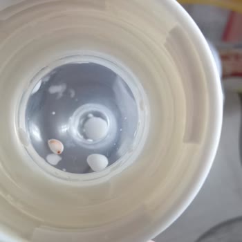 Bebelac Sütünde Böcek Şoku