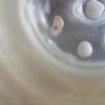 Bebelac Sütünde Böcek Şoku