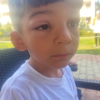 Lord Marina Otel Pişman Etti S