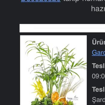 Taze Çiçek Alakasız 2 Görsel