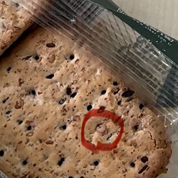 Ülker Bisküviden Çıkan Kurt