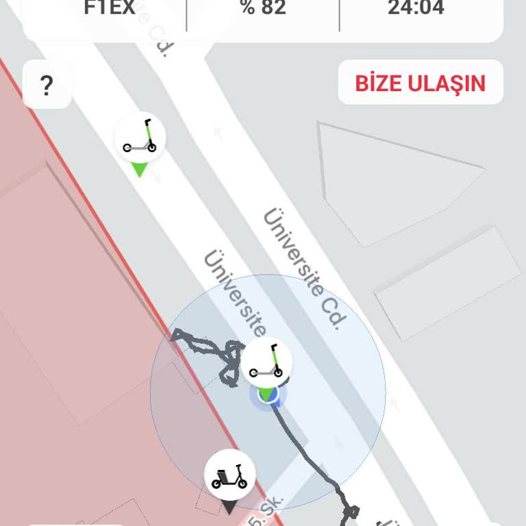 Park Ve Bozuk Martı Sorunu