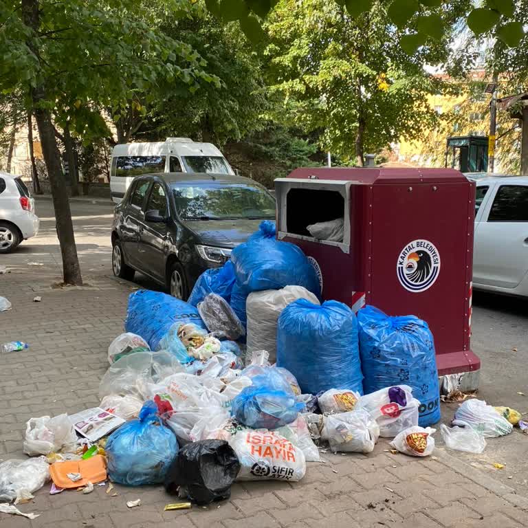 Kartal Belediyesi Kartal Uğurmumcu Mahallesi'nde Çöp Toplama Sorunu