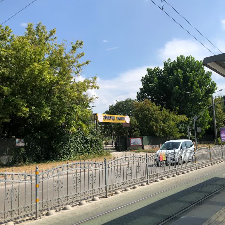 Zübeyde Hanım Mesleki ve Teknik Anadolu Lisesi Okul Çok Bakımsız