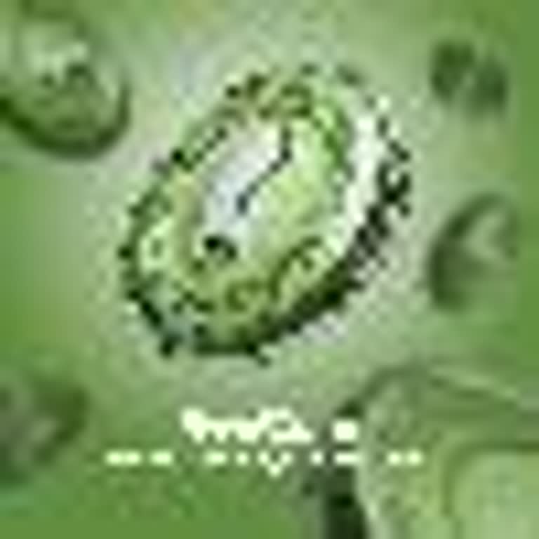 Reecoin Denetimsizlik Ve Güvenlik Açıkları Mağdur Ediyor