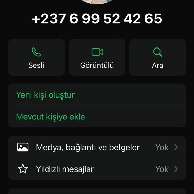 WhatsApp Görüntülü Arama Başka Ülke