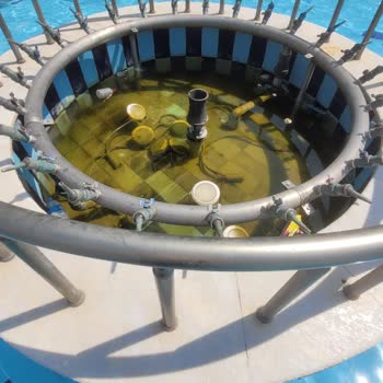 Simurg Halal Luxury Hotel Hijyen Yok Pislik İçinde BES Yıldızı Nasıl Almış Anlamadık