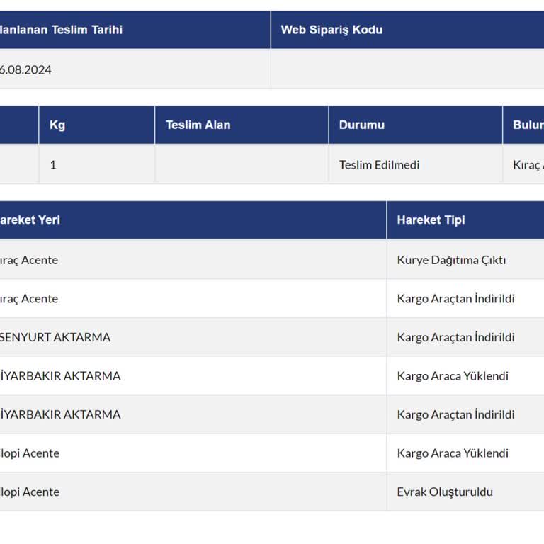 Sürat Kargo 1 Haftadır Ürününü Teslim Edemedi-takip No: 21417919911593