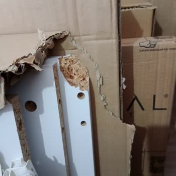 Horoz Lojistik Ve Koçtaş Birbirlerinden Haberleri Yok