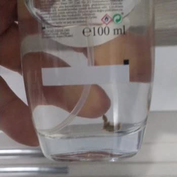 D&P Parfüm DP D19 Parfüm Kalitesiz