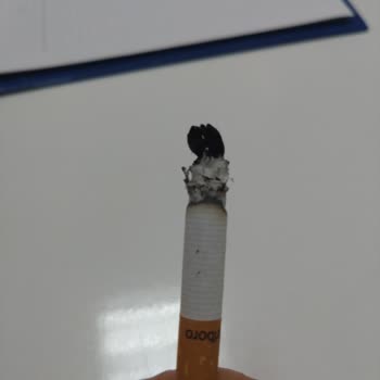 Marlboro Tütüncülüğü Bırakıp Odunculuğa Başlasın.