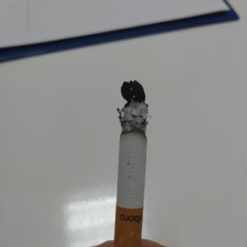 Marlboro Tütüncülüğü Bırakıp Odunculuğa Başlasın.