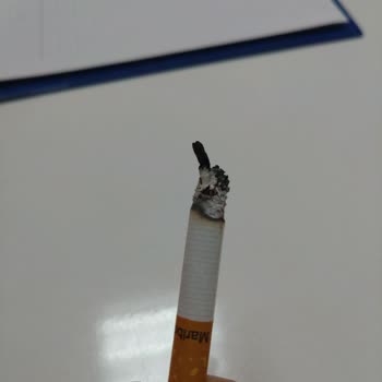 Marlboro Tütüncülüğü Bırakıp Odunculuğa Başlasın.