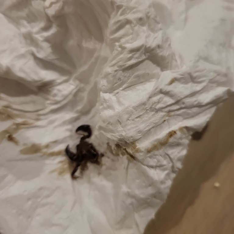 Bons Villa Şikayetim Var