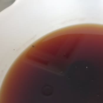 Tatilbudur Balayı Kabusu Hijyen Problemleri Ve Kötü Hizmet