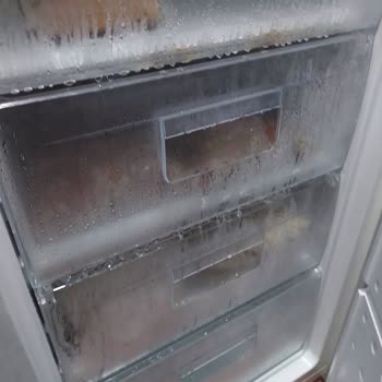 Altus Derin Dondurucu Pişmanlıktır