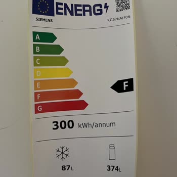 Siemens'i Evinize Asla Sokmayın