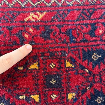 Dyson Gen 5 Süpürge Halıma Zarar Verdi