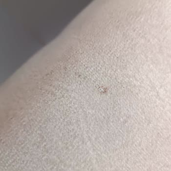 Merinos Teşhir Ürünü Pişmanlıktır