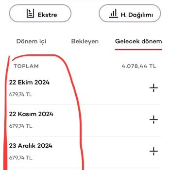 Setur Faiz Geri Ödemesi Yapmadı