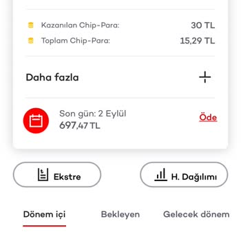 Setur Faiz Geri Ödemesi Yapmadı