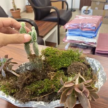 Denizli Çiçek Sepeti