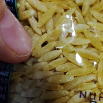 Nuh'un Ankara Makarnası Şehriyenin İçerisinden Böcekler Çıktı