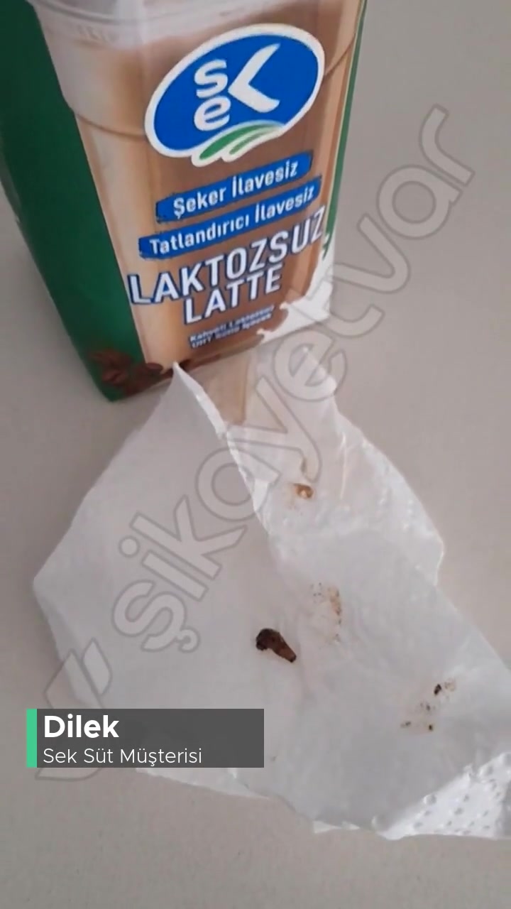 Sek Süt Laktozsuz Latte Süt! videonun kapak resmi