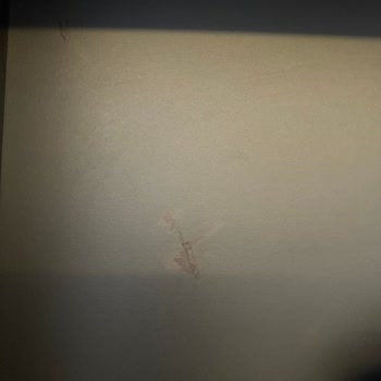 Saloni Avcılar Mağazasında Yaşanan Sorunlar Ve İlgisizlik