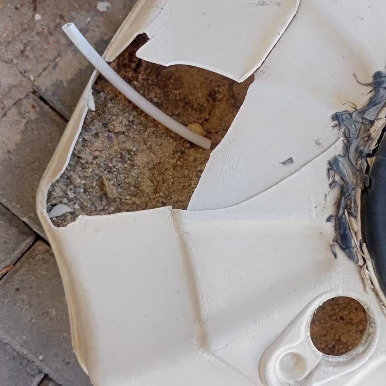 Algida Şemsiye Verilmemesi Altlık Verilmedi