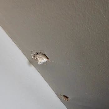 GREE Klima Eksik Ve Hatalı Klima Montajı: Acil Düzeltme Talebi